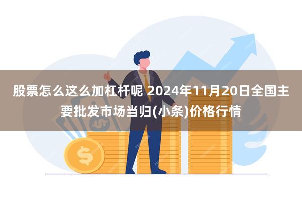 股票怎么这么加杠杆呢 2024年11月20日全国主要批发市场当归(小条)价格行情