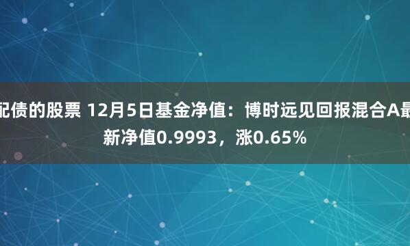 配债的股票 12月5日基金净值：博时远见回报混合A最新净值0.9993，涨0.65%