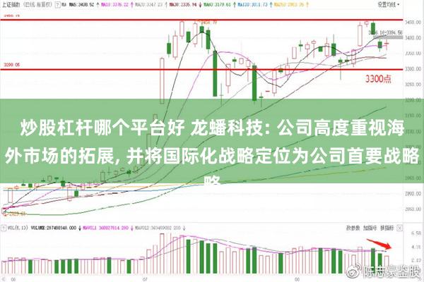 炒股杠杆哪个平台好 龙蟠科技: 公司高度重视海外市场的拓展, 并将国际化战略定位为公司首要战略