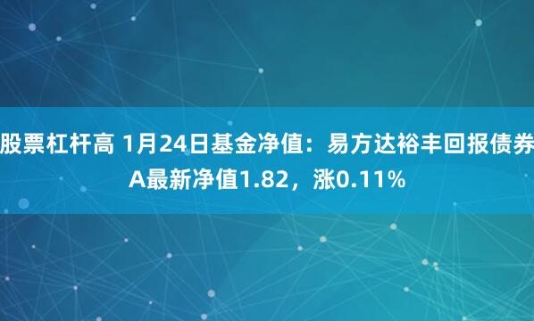 股票杠杆高 1月24日基金净值：易方达裕丰回报债券A最新净值1.82，涨0.11%